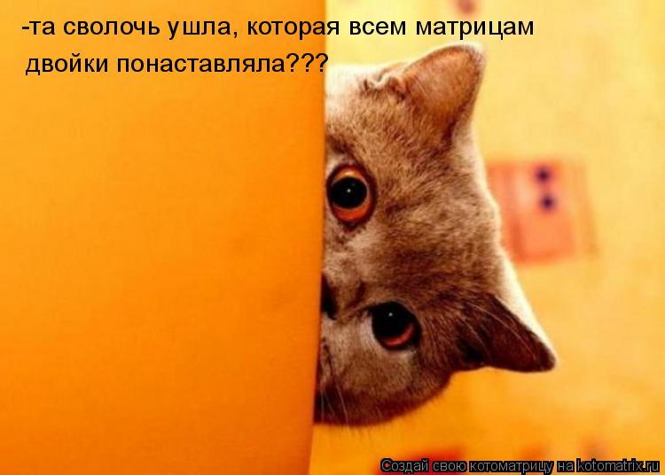 -та сволочь ушла, которая всем матрицам двойки понаставляла???... Котоматрица: -та сволочь ушла, которая всем матрицам двойки понаставляла???