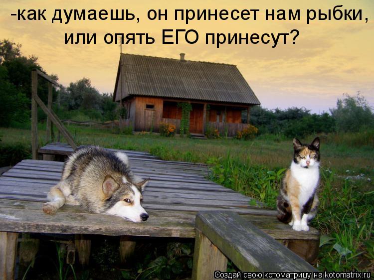 -как думаешь, он принесет нам рыбки, или опять ЕГО принесут?... Котоматрица: -как думаешь, он принесет нам рыбки, или опять ЕГО принесут?