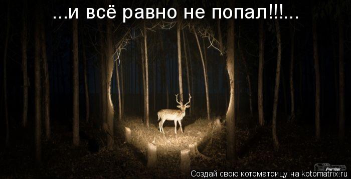 ...и всё равно не попал!!!...... Котоматрица: ...и всё равно не попал!!!...