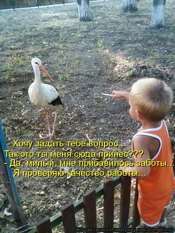 - Хочу задать тебе вопрос... Так это ты меня сюда принес??? - Да, милый, мне прибавилось заботы... Я... Котоматрица: - Хочу задать тебе вопрос... Так это ты меня сюда принес??? - Да, милый, мне прибавилось заботы... Я проверяю качество работы...