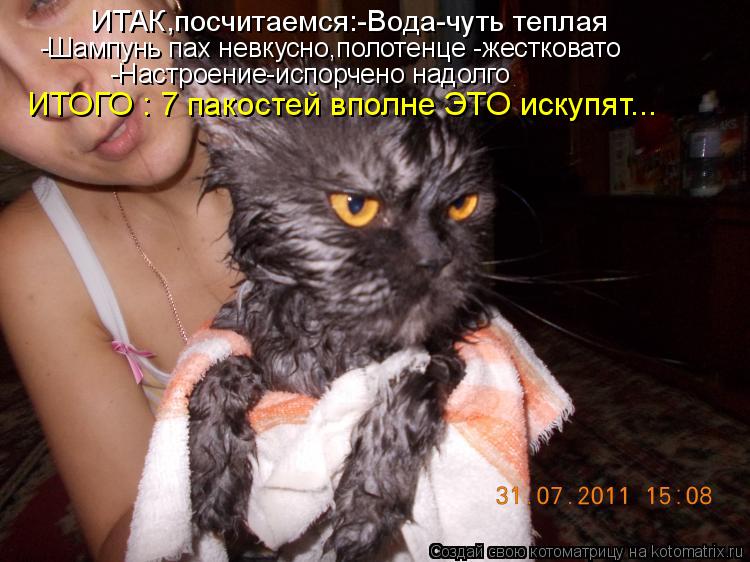ИТАК,посчитаемся:-Вода-чуть теплая -Шампунь пах невкусно,полотенце -жестковато -Настроение-испорчено ... Котоматрица: ИТАК,посчитаемся:-Вода-чуть теплая -Шампунь пах невкусно,полотенце -жестковато -Настроение-испорчено надолго ИТОГО : 7 пакостей вполне ЭТО и