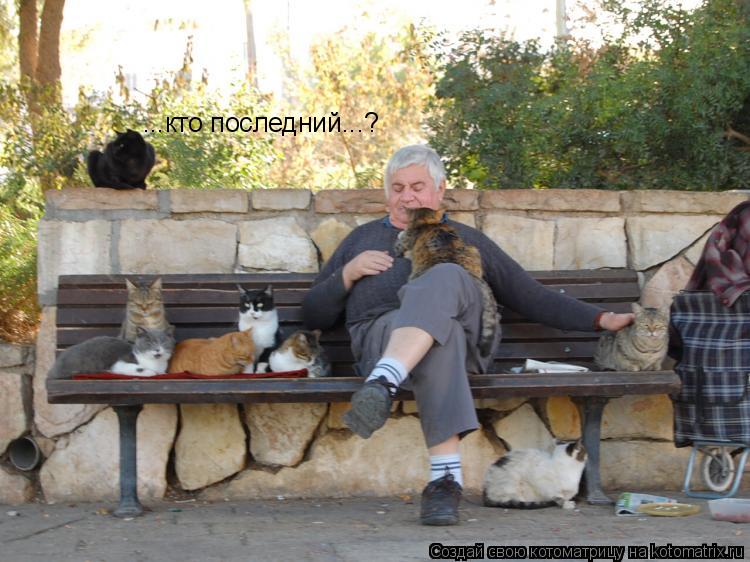 ...кто последний...?... Котоматрица: ...кто последний...?
