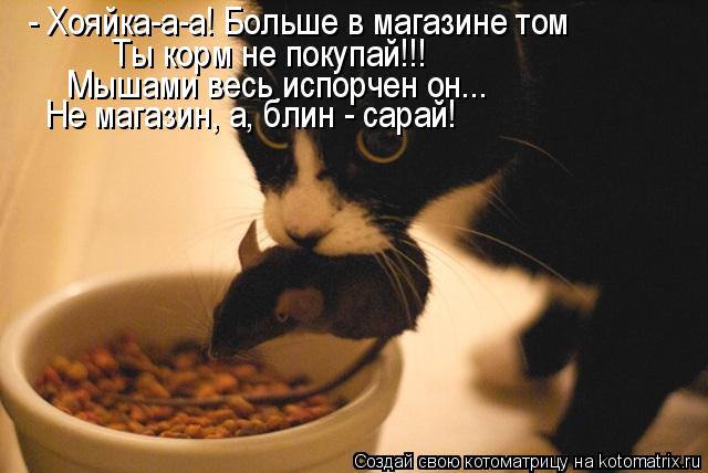 - Хояйка-а-а! Больше в магазине том Ты корм не покупай!!! Мышами весь испорчен он... Не магазин, а, б... Котоматрица: - Хояйка-а-а! Больше в магазине том Ты корм не покупай!!! Мышами весь испорчен он... Не магазин, а, блин - сарай!