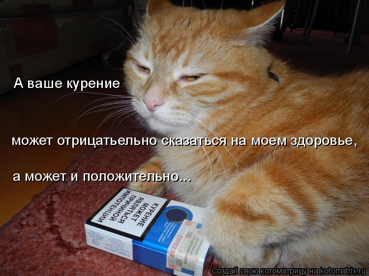А ваше курение может отрицатьельно сказаться на моем здоровье, а может и положительно...... Котоматрица: А ваше курение может отрицатьельно сказаться на моем здоровье, а может и положительно...