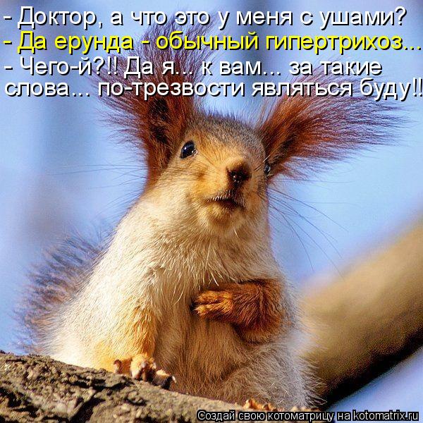 - Доктор, а что это у меня с ушами? - Да ерунда - обычный гипертрихоз... - Чего-й?!! Да я... к вам...... Котоматрица: - Доктор, а что это у меня с ушами? - Да ерунда - обычный гипертрихоз... - Чего-й?!! Да я... к вам... за такие слова... по-трезвости являться буду!!!