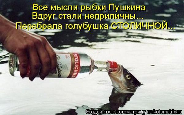 Все мысли рыбки Пушкина Вдруг стали неприличны... Перебрала голубушка СТОЛИЧНОЙ...... Котоматрица: Все мысли рыбки Пушкина Вдруг стали неприличны... Перебрала голубушка СТОЛИЧНОЙ...