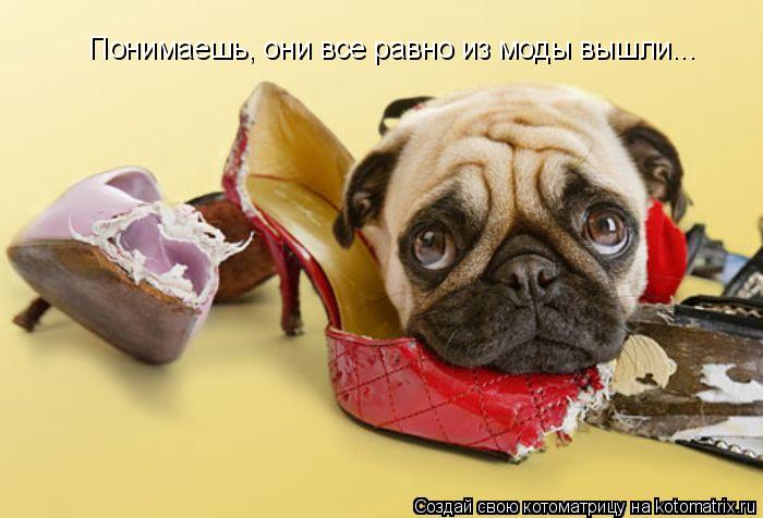 Понимаешь, они все равно из моды вышли...... Котоматрица: Понимаешь, они все равно из моды вышли...