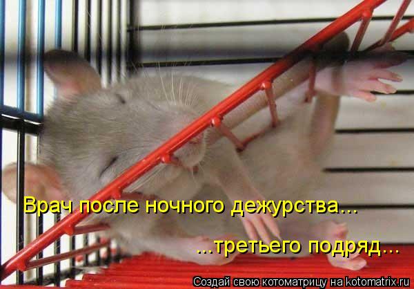 Врач после ночного дежурства... ...третьего подряд...... Котоматрица: Врач после ночного дежурства... ...третьего подряд...