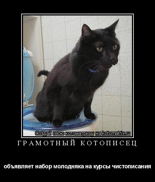 Грамотный котопИсец объявляет набор молодняка на курсы чистописания... Котоматрица: Грамотный котопИсец объявляет набор молодняка на курсы чистописания