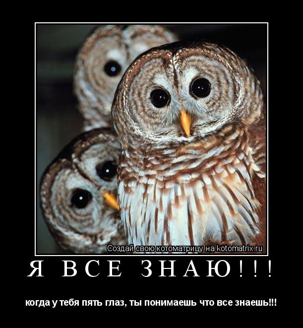 Котоматрица: Я ВСЁ ЗНАЮ!!! когда у тебя пять глаз, ты понимаешь что все знаешь!!!