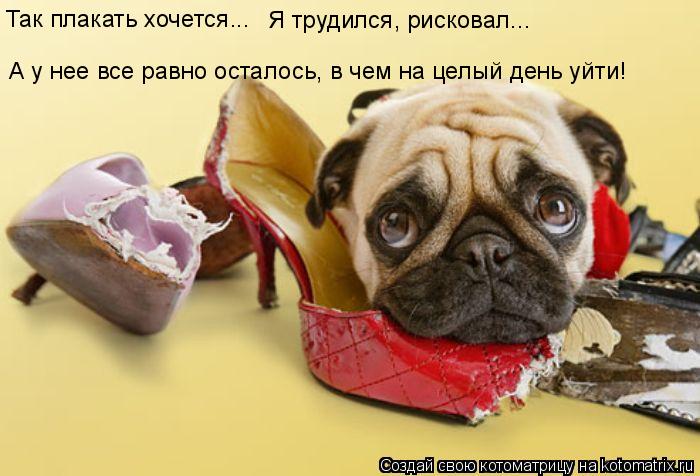 А у нее все равно осталось, в чем на целый день уйти! Так плакать хочется... Я трудился, рисковал...... Котоматрица: А у нее все равно осталось, в чем на целый день уйти! Так плакать хочется... Я трудился, рисковал...