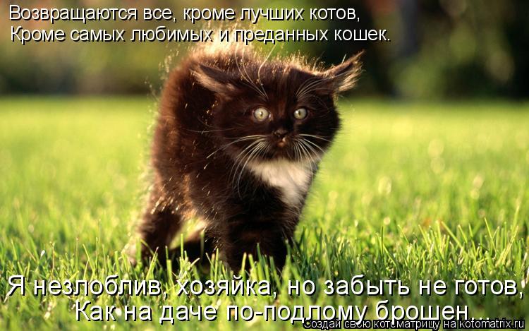 Возвращаются все, кроме лучших котов, Кроме самых любимых и преданных кошек. Как на даче по-подлому... Котоматрица: Возвращаются все, кроме лучших котов, Кроме самых любимых и преданных кошек. Как на даче по-подлому брошен... Я незлоблив, хозяйка, но забыть