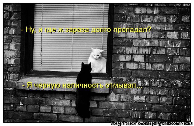 - Ну, и где ж зараза долго пропадал? - Я черную наличность отмывал...... Котоматрица: - Ну, и где ж зараза долго пропадал? - Я черную наличность отмывал...