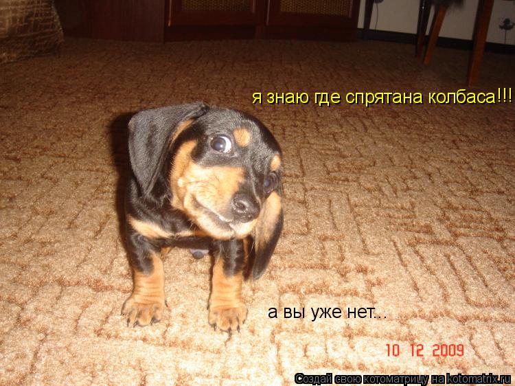 я знаю где спрятана колбаса а вы уже нет... !!!... Котоматрица: я знаю где спрятана колбаса а вы уже нет... !!!