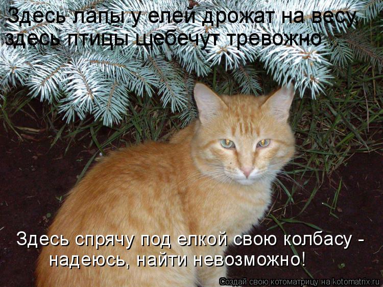 Здесь лапы у елей дрожат на весу, здесь птицы щебечут тревожно... Здесь спрячу под елкой свою колбасу... Котоматрица: Здесь лапы у елей дрожат на весу, здесь птицы щебечут тревожно... Здесь спрячу под елкой свою колбасу - надеюсь, найти невозможно!