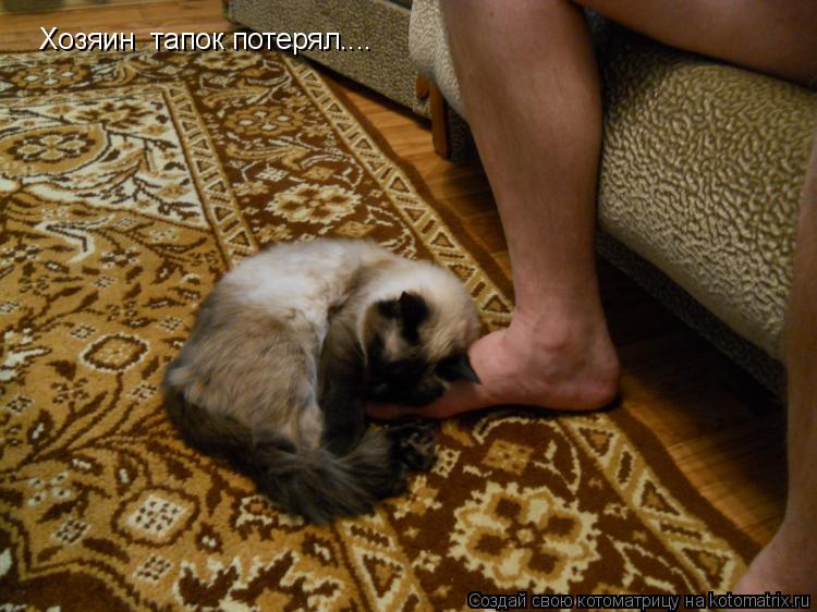 Хозяин тапок потерял....... Котоматрица: Хозяин тапок потерял....