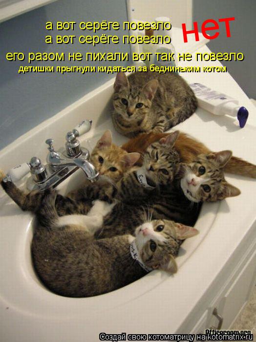 а вот серёге повезло а вот серёге повезло его разом не пихали вот так не повезло нет детишки прыгнули... Котоматрица: а вот серёге повезло а вот серёге повезло его разом не пихали вот так не повезло нет детишки прыгнули кидаться за бедниньким котом