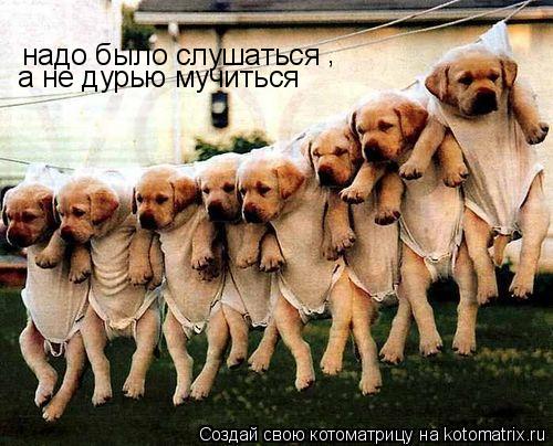 надо было слушаться , а не дурью мучиться... Котоматрица: надо было слушаться , а не дурью мучиться