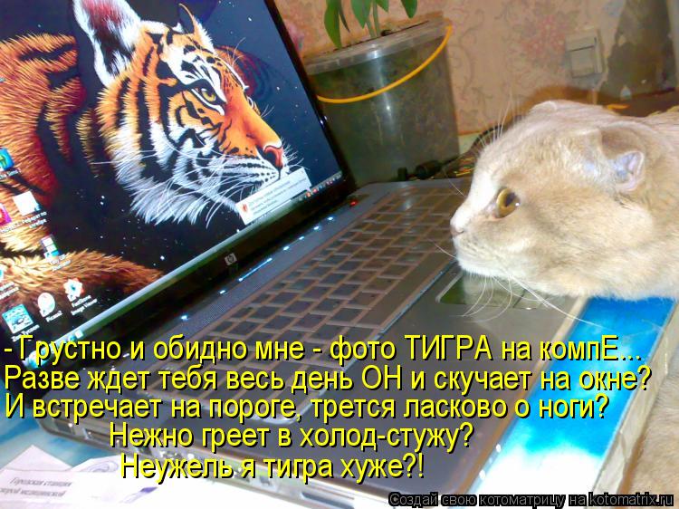- Грустно и обидно мне - фото ТИГРА на компЕ... Разве ждет тебя весь день ОН и скучает на окне? И вст... Котоматрица: - Грустно и обидно мне - фото ТИГРА на компЕ... Разве ждет тебя весь день ОН и скучает на окне? И встречает на пороге, трется ласково о ноги? Неж