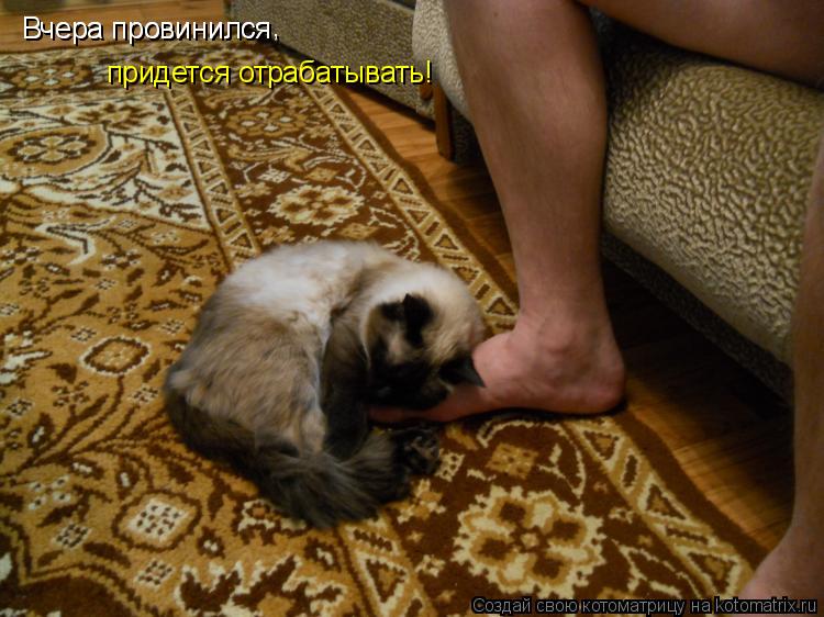 Вчера провинился , Вчера провинился придется отрабатывать!... Котоматрица: Вчера провинился , Вчера провинился придется отрабатывать!