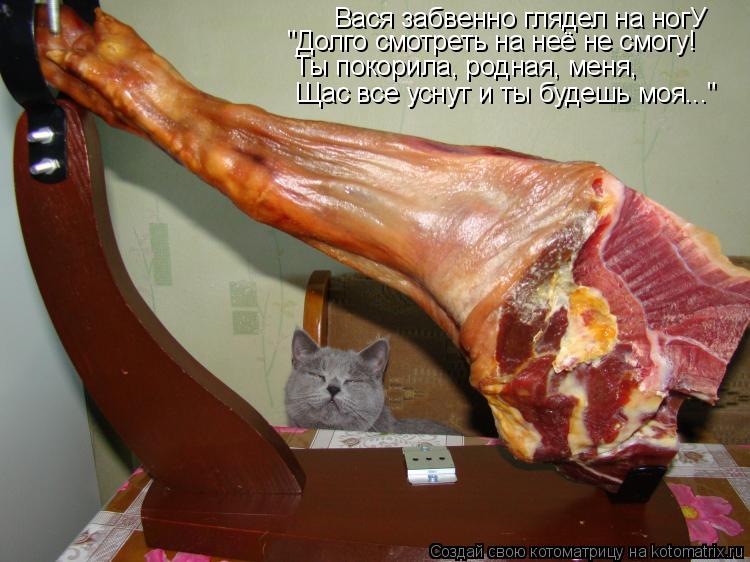 Вася забвенно глядел на ногУ "Долго смотреть на неё не смогу! Ты покорила, родная, меня, Щас все усну... Котоматрица: Вася забвенно глядел на ногУ "Долго смотреть на неё не смогу! Ты покорила, родная, меня, Щас все уснут и ты будешь моя..."