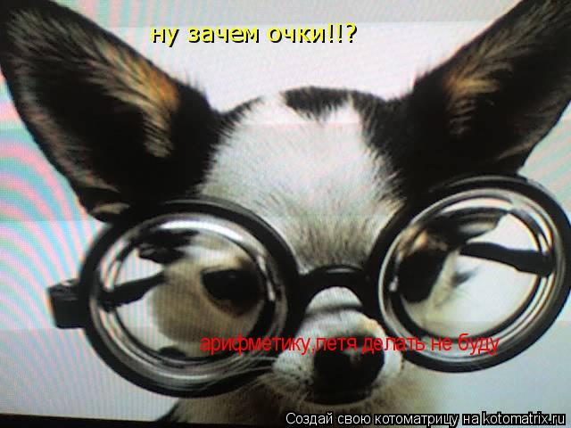 ну зачем очки!!? арифметику,петя делать не буду... Котоматрица: ну зачем очки!!? арифметику,петя делать не буду