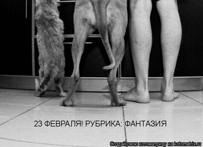23 ФЕВРАЛЯ! РУБРИКА: ФАНТАЗИЯ... Котоматрица: 23 ФЕВРАЛЯ! РУБРИКА: ФАНТАЗИЯ