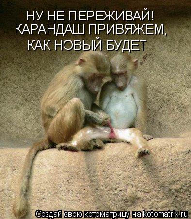 НУ НЕ ПЕРЕЖИВАЙ! КАРАНДАШ ПРИВЯЖЕМ, КАК НОВЫЙ БУДЕТ... Котоматрица: НУ НЕ ПЕРЕЖИВАЙ! КАРАНДАШ ПРИВЯЖЕМ, КАК НОВЫЙ БУДЕТ