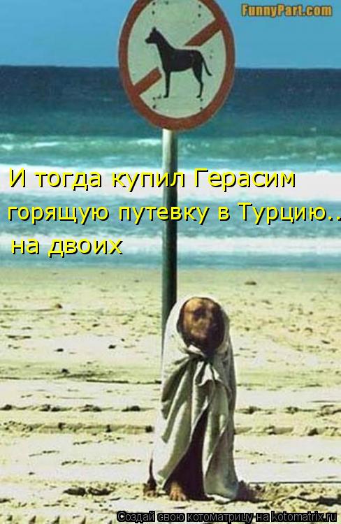 Котоматрица: горящую путевку в Турцию... И тогда купил Герасим на двоих