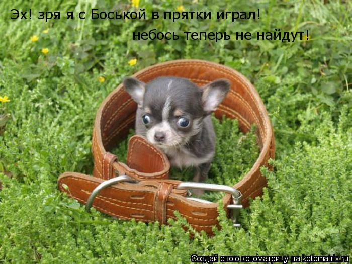 Котоматрица: Эх! зря я с Боськой в прятки играл! небось теперь не найдут!
