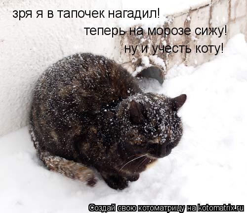 Котоматрица: зря я в тапочек нагадил! теперь на морозе сижу! ну и учесть коту!