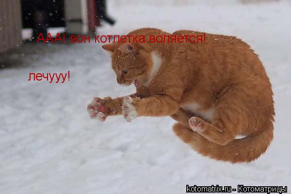Котоматрица: ААА! вон котлетка воляется! лечууу!