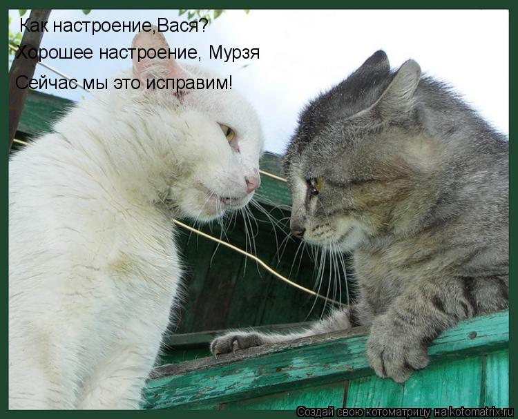 Котоматрица: Как настроение,Вася? Хорошее настроение, Мурзя Сейчас мы это исправим!