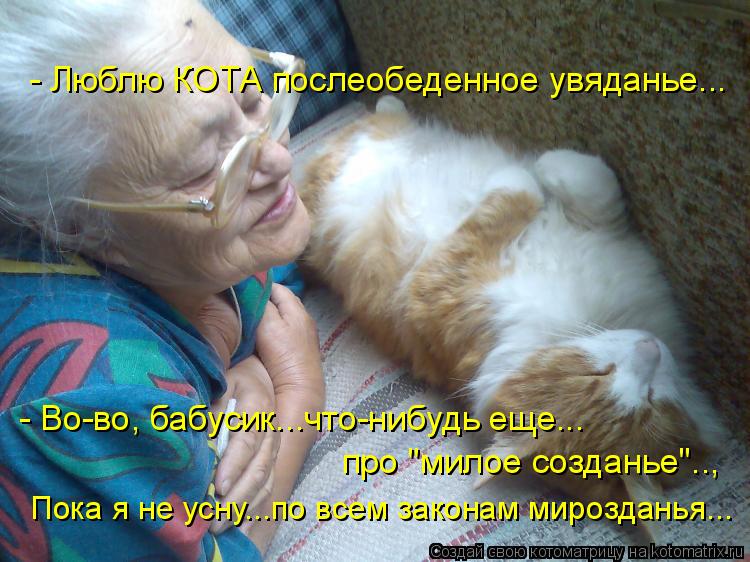 Котоматрица: - Люблю КОТА послеобеденное увяданье... - Во-во, бабусик...что-нибудь еще... про "милое созданье".., Пока я не усну...по всем законам мирозданья...