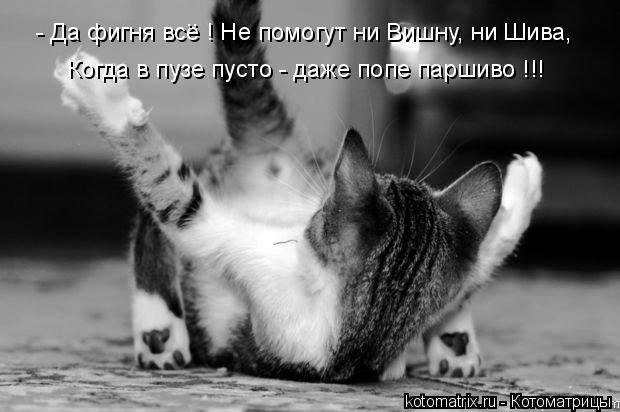 - Да фигня все ! Не помогут ни Вишну, ни Шива, Когда в пузе пусто - даже попе паршиво !!! ..... Котоматрица: - Да фигня все ! Не помогут ни Вишну, ни Шива, Когда в пузе пусто - даже попе паршиво !!! ..