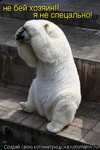 Котоматрица: не бей хозяин!! я не спецально!