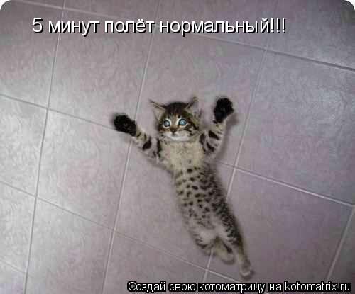 Котоматрица: 5 минут полёт нормальный!!!