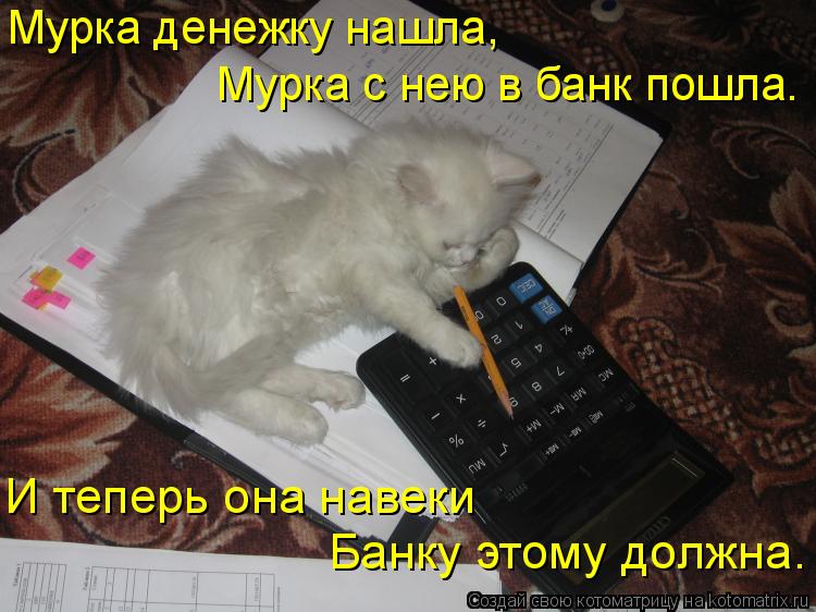 Мурка денежку нашла, Мурка с нею в банк пошла. И теперь она навеки Банку этому должна.... Котоматрица: Мурка денежку нашла, Мурка с нею в банк пошла. И теперь она навеки Банку этому должна.
