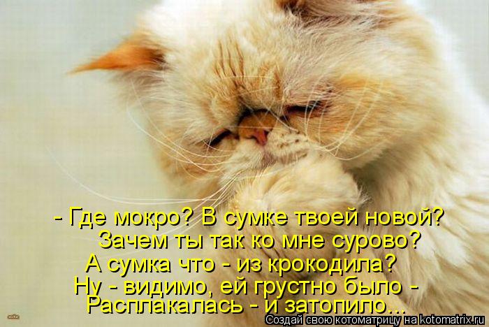 - Где мокро? В сумке твоей новой? Зачем ты так ко мне сурово? А сумка что - из крокодила? Ну - видимо... Котоматрица: - Где мокро? В сумке твоей новой? Зачем ты так ко мне сурово? А сумка что - из крокодила? Ну - видимо, ей грустно было - Расплакалась - и затопило.