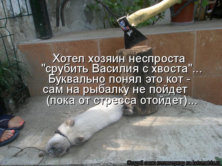 Котоматрица: Хотел хозяин неспроста "срубить Василия с хвоста"... Буквально понял это кот -  сам на рыбалку не пойдет (пока от стресса отойдет)...