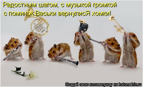 Котоматрица: Радостным шагом, с музыкой громкой  с поминок Васьки вернулисЯ хомки!