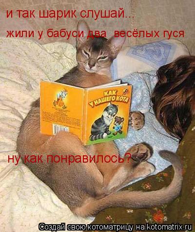 Котоматрица: и так шарик слушай... жили у бабуси два  весёлых гуся ну как понравилось?