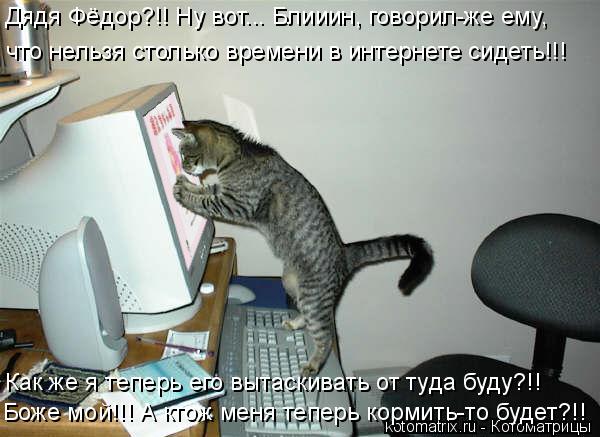 Котоматрица: Дядя Фёдор?!! Ну вот... Блииин, говорил-же ему,  что нельзя столько времени в интернете сидеть!!! Как же я теперь его вытаскивать от туда буду?!! Б
