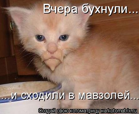 Котоматрица: Вчера бухнули... ...и сходили в мавзолей...