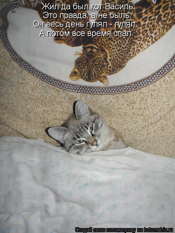 Котоматрица: Жил да был кот Василь…  Это правда, а не быль. Он весь день гулял - гулял, А потом все время спал.