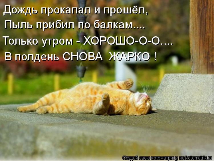 Дождь прокапал и прошёл, Пыль прибил по балкам.... Только утром - ХОРОШО-О-О.... В полдень СНОВА ЖАР... Котоматрица: Дождь прокапал и прошёл, Пыль прибил по балкам.... Только утром - ХОРОШО-О-О.... В полдень СНОВА ЖАРКО !