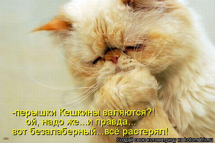 -перышки Кешкины валяются?! ой, надо же...и правда... вот безалаберный...всё растерял!... Котоматрица: -перышки Кешкины валяются?! ой, надо же...и правда... вот безалаберный...всё растерял!