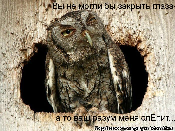 Вы не могли бы закрыть глаза- а то ваш разум меня слЕпит...... Котоматрица: Вы не могли бы закрыть глаза- а то ваш разум меня слЕпит...