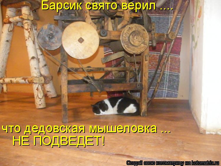 Барсик свято верил .... что дедовская мышеловка ... НЕ ПОДВЕДЕТ!... Котоматрица: Барсик свято верил .... что дедовская мышеловка ... НЕ ПОДВЕДЕТ!