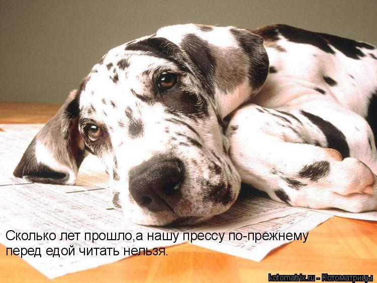 Сколько лет прошло,а нашу прессу по-прежнему перед едой читать нельзя.... Котоматрица: Сколько лет прошло,а нашу прессу по-прежнему перед едой читать нельзя.